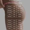 Zomervakantie Openingstijden 2025 vakantierooster poster